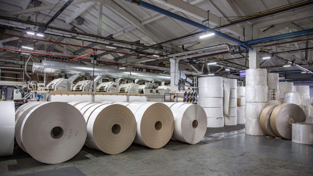 Pulp & Paper